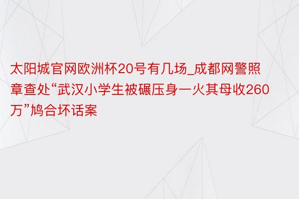 太阳城官网欧洲杯20号有几场_成都网警照章查处“武汉小学生被碾压身一火其母收260万”鸠合坏话案