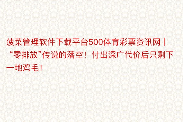 菠菜管理软件下载平台500体育彩票资讯网 | “零排放”传说的落空！付出深广代价后只剩下一地鸡毛！